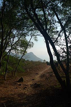 Lantau Island, Hong Kong, China, Jacek Piwowarczyk, 2009