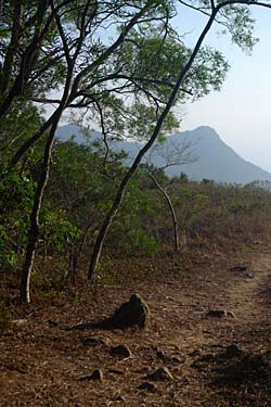Lantau Island, Hong Kong, China, Jacek Piwowarczyk, 2009