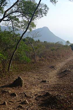 Lantau Island, Hong Kong, China, Jacek Piwowarczyk, 2009