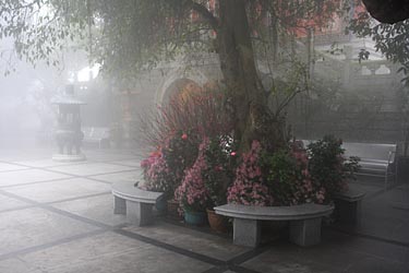 Po Lin Monastery, Latau Island, Hong Kong, China, Jacek Piwowarczyk, 2009