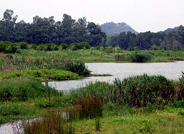 Hog Kong Wetland Park, Tin Shui Wai, New Territiories, Hong Kong, China, Jacek Piwowarczyk, 2009