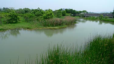 Hog Kong Wetland Park, Tin Shui Wai, New Territiories, Hong Kong, China, Jacek Piwowarczyk, 2009