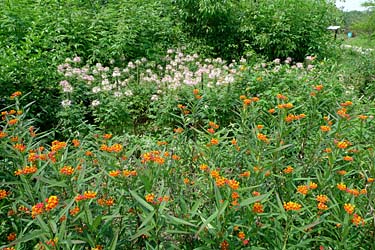 Hog Kong Wetland Park, Tin Shui Wai, New Territiories, Hong Kong, China, Jacek Piwowarczyk, 2009