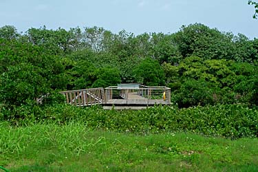 Hog Kong Wetland Park, Tin Shui Wai, New Territiories, Hong Kong, China, Jacek Piwowarczyk, 2009