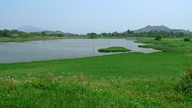 Hog Kong Wetland Park, Tin Shui Wai, New Territiories, Hong Kong, China, Jacek Piwowarczyk, 2009