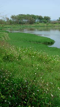 Hog Kong Wetland Park, Tin Shui Wai, New Territiories, Hong Kong, China, Jacek Piwowarczyk, 2009