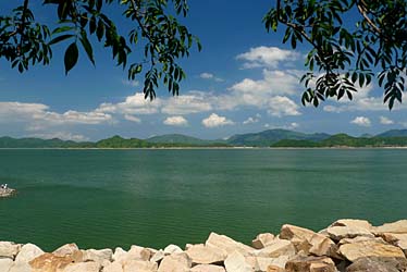 TAI MEI KUK 2009