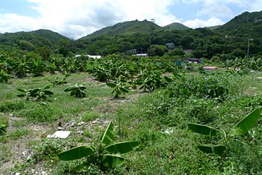 Man Kok, Lantau Island, Hong Kong, China, Jacek Piwowarczyk, 2009
