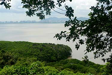 TSIM BAY TSUI 2009