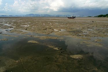 LAU FAU SHAN 2009