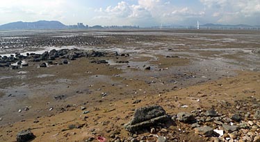 Pak Nai, New Territories, Hong Kong, China, Jacek Piwowarczyk, 2009