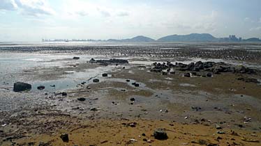 Pak Nai, New Territories, Hong Kong, China, Jacek Piwowarczyk, 2009