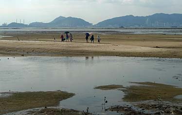 PAK NAI 2009