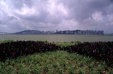 Macau, China, Jacek Piwowarczyk, 2002