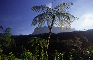 Mt. Kinabalu, Sabah, Malaysia, Jacek Piwowarczyk 2003