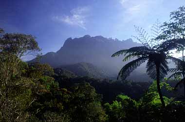 Mt. Kinabalu, Sabah, Malaysia, Jacek Piwowarczyk 2003