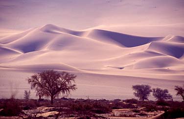 Soussvlei, Namibia, Jacek Piwowarczyk, 1994