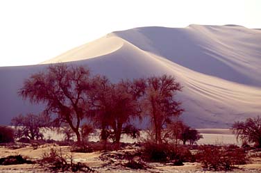 Soussvlei, Namibia, Jacek Piwowarczyk, 1994