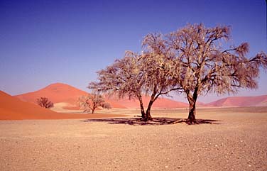 Soussvlei, Namibia, Jacek Piwowarczyk, 1994