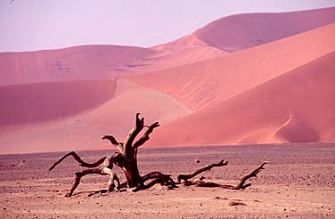 Soussvlei, Namibia, Jacek Piwowarczyk, 1994