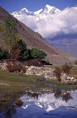 The trekking route from Muktinath to Pokhara passing through the spectacular Kali Gandaki Valley is one of the most popular in the Himalayas. There are thousands of trekkers, colourfully dressed (sometimes barefooted) pilgrims and caravans of mules taking this trail and it can be very busy during the tourist season (spring/autumn).