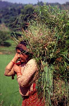 Marsyangdi Valley, Nepal, 1995