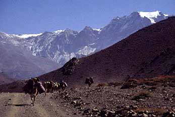 Kali Gandaki Valley, Nepal, Jacek Piwowarczyk, 1995