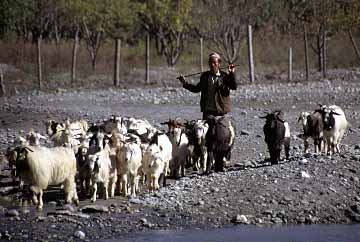 Kali Gandaki Valley, Jacek Piwowarczyk 1995