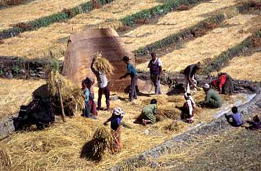 Kali Gandaki Valley, Jacek Piwowarczyk 1995