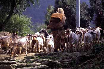 Kali Gandaki Valley, Jacek Piwowarczyk 1995