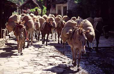 Tatopani, Mayangdi Valley, Nepal, Jacek Piwowarczyk, 1996