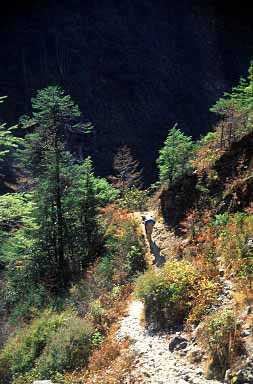 Gunsa Valley, Nepal, Jacek Piwowarczyk, 2000