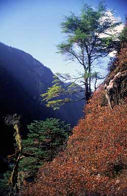 Gunsa Valley, Nepal, Jacek Piwowarczyk, 2000