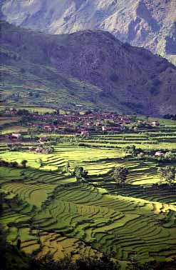 Mayangdi Valley, Nepal, Jacek Piwowarczyk, 1996