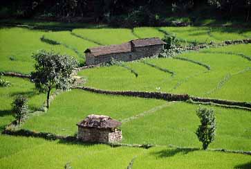Mayangdi Valley, Nepal, Jacek Piwowarczyk, 1996