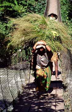 Mayangdi Valley, Nepal, Jacek Piwowarczyk, 1996