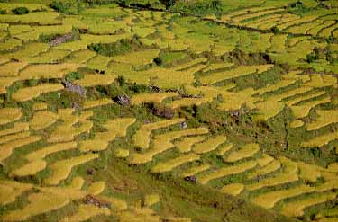 Mayangdi Valley, Nepal, Jacek Piwowarczyk, 1996