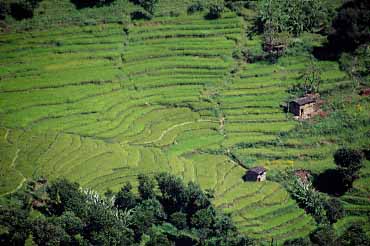 Mayangdi Valley, Nepal, Jacek Piwowarczyk, 1996