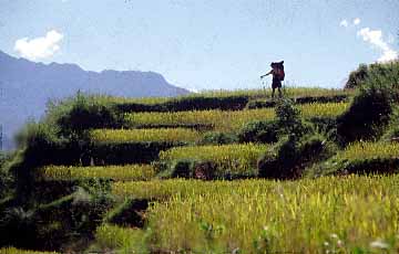Mayangdi Valley, Nepal, Jacek Piwowarczyk, 1996
