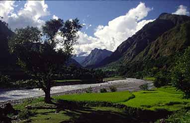 Mayangdi Valley, Jacek Piwowarczyk, 199