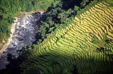 Mayangdi Valley, Nepal, Jacek Piwowarczyk, 1996