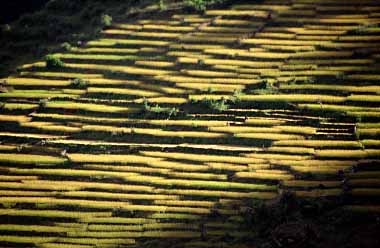 Mayangdi Valley, Nepal, Jacek Piwowarczyk, 1996
