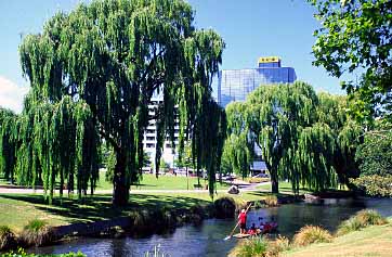 Christchurch, New Zealand, Jacek Piwowarczyk, 2002