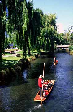 Christchurch, New Zealand, Jacek Piwowarczyk, 2002