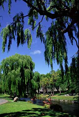 Christchurch, New Zealand, Jacek Piwowarczyk, 2002