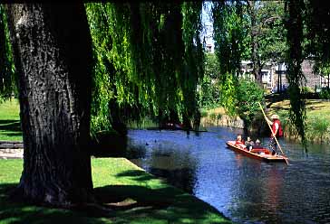 Christchurch, New Zealand, Jacek Piwowarczyk, 2002