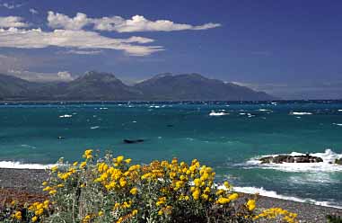 Kaikorua, New Zealand, Jacek Piwowarczyk, 2002