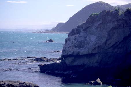 Kaikorua, New Zealand, Jacek Piwowarczyk, 2002