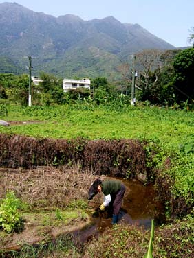 Mui Wo, Lantau Island, Hong Kong, China, Jacek Piwowarczyk, 2007