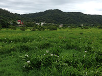 DONGYUAN FOREST RECREATION AREA